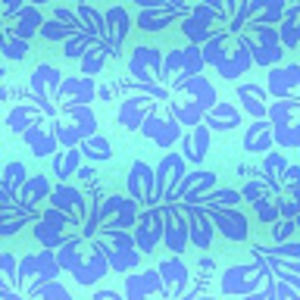 Meet your Posher, Amma